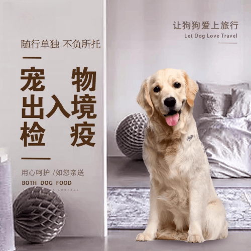 黄石市宠物托运到哥伦比亚猫狗宠物入境规定和