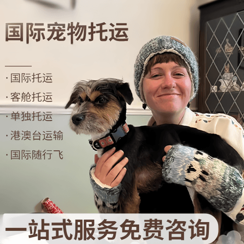 黄石市国际宠物托运到阿根廷宠物入境规定和要