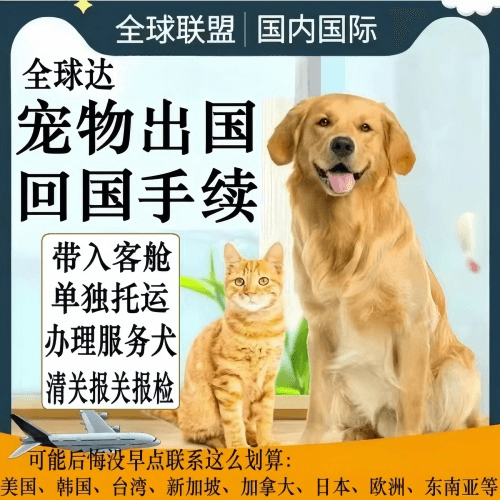 黄石市宠物托运到柬埔寨宠物入境规定和要求