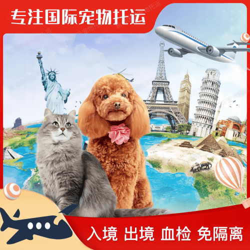 黄石市宠物托运到美国宠物入境最新规定和要求