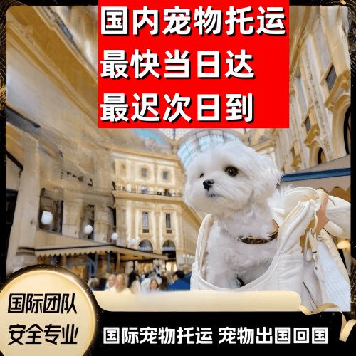 黄石市到澳大利亚（澳洲）宠物入境规定和要求