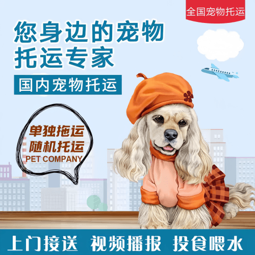 满财黄石市宠物全球达宠物托运作为专业的宠物运输代理机构
